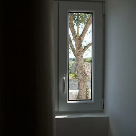 Casa Dos Junqueiros - Countryside * קלדס דה ריינה