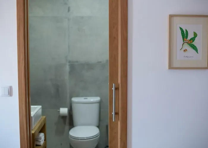 Casa Dos Junqueiros - Countryside Nyaraló Caldas da Rainha